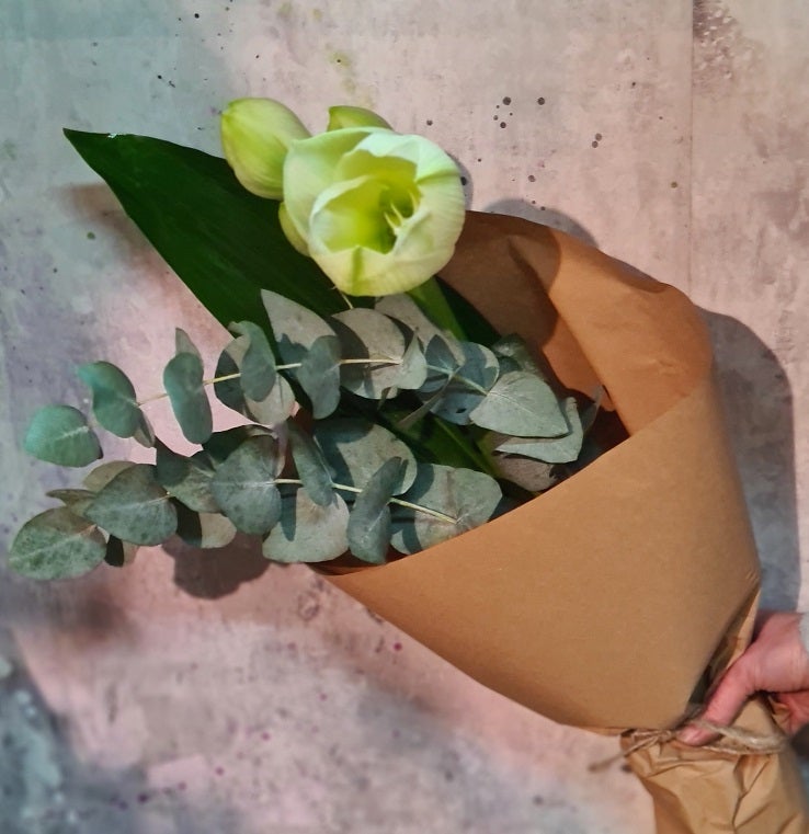 Amaryllis vihreill&auml;